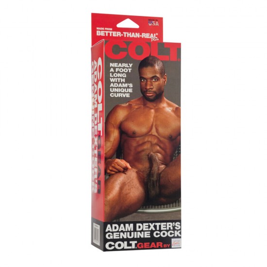 COLT Adam Dexters Realistic Cock Dildo